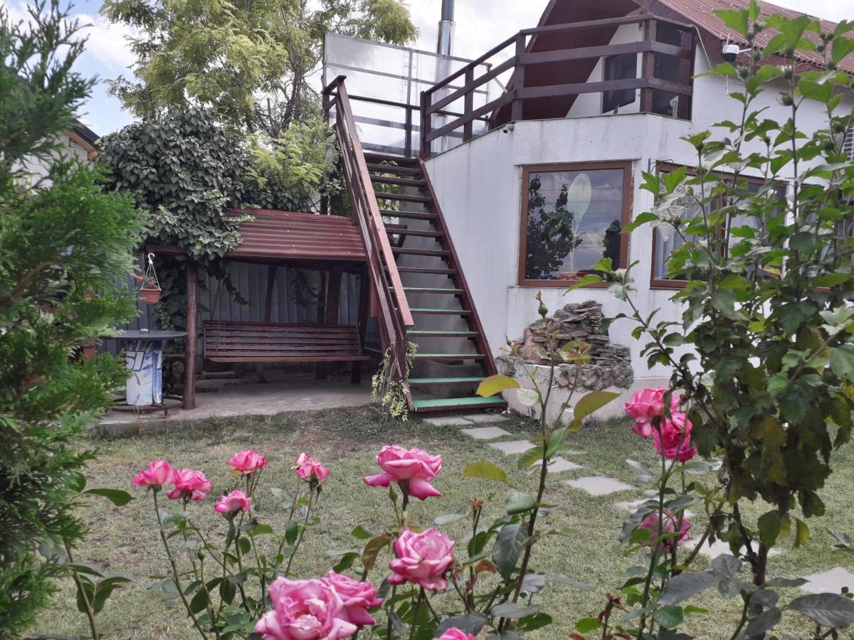 Casa Chitu Murighiol Exterior foto