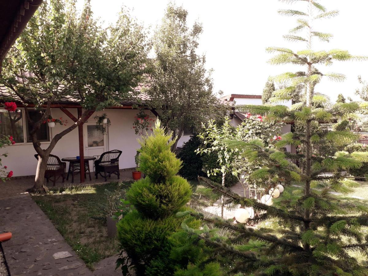 Casa Chitu Murighiol Exterior foto