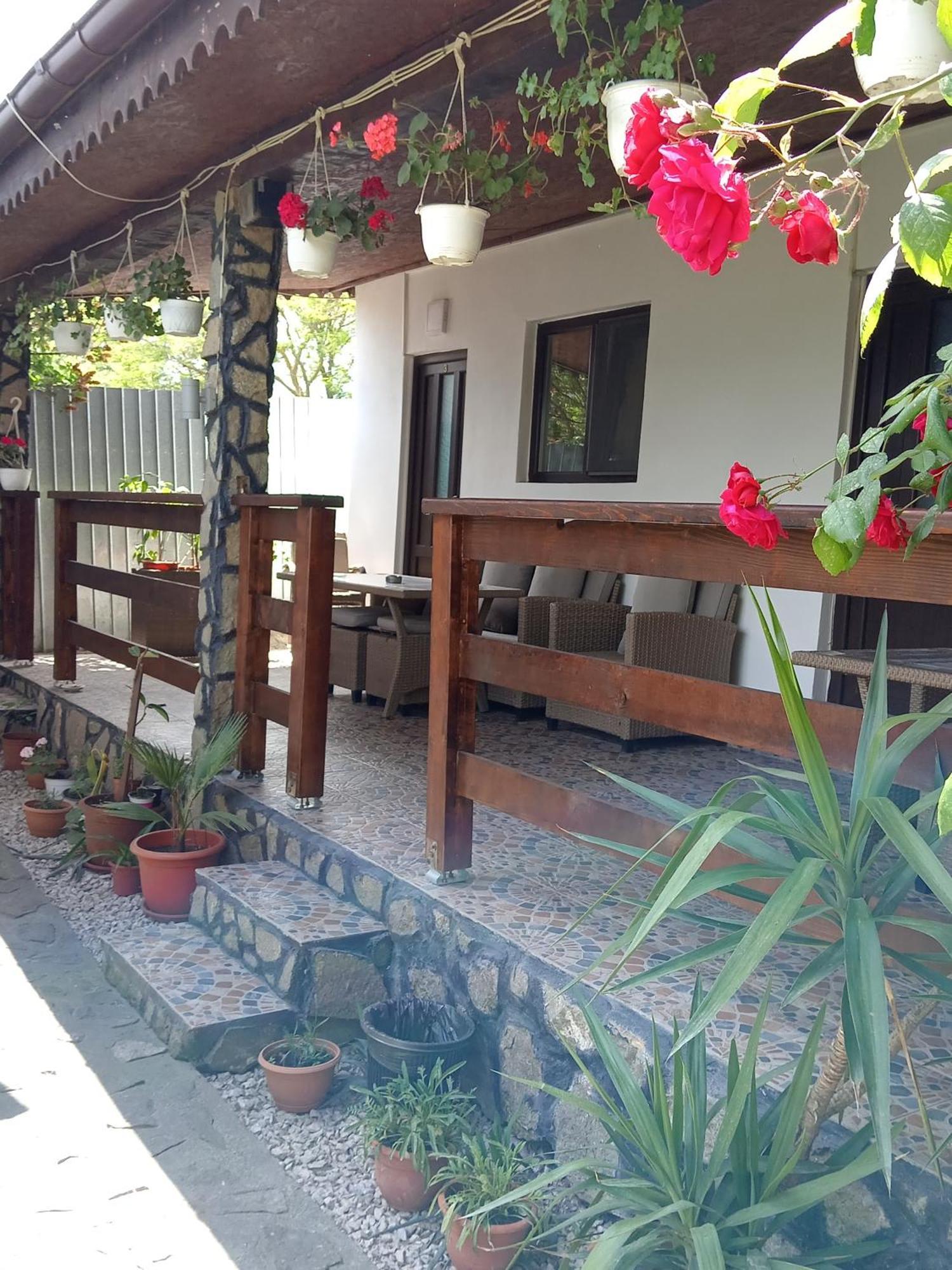Casa Chitu Murighiol Exterior foto