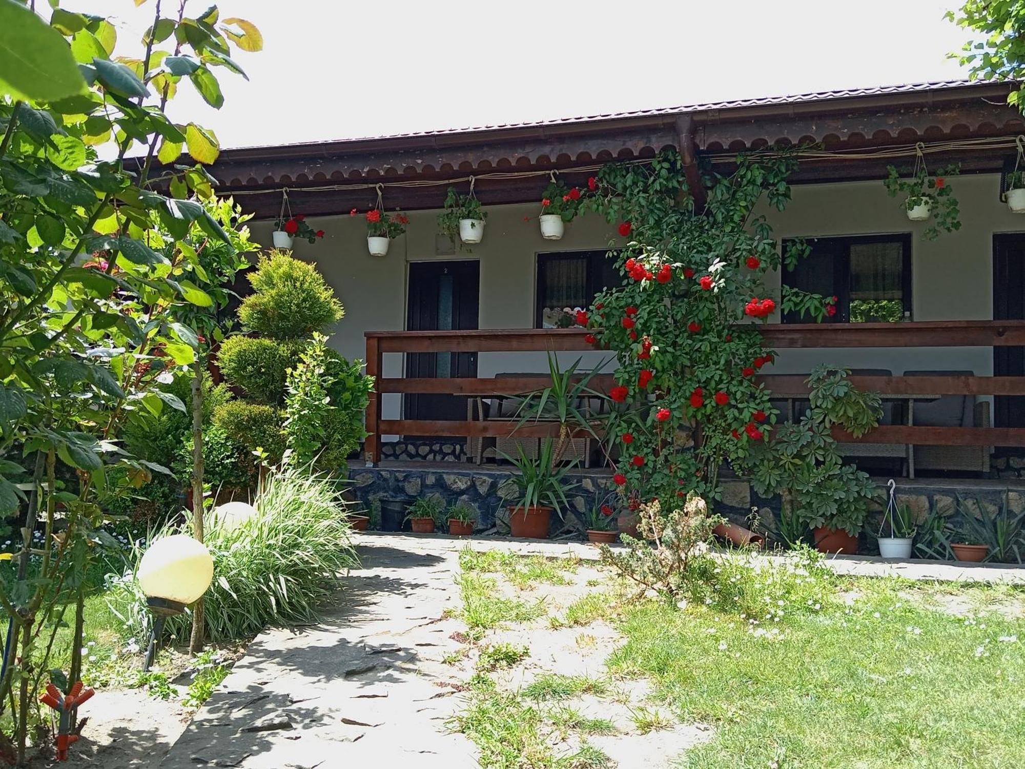 Casa Chitu Murighiol Exterior foto